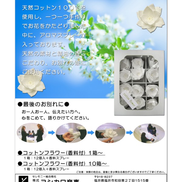 コットンフラワー